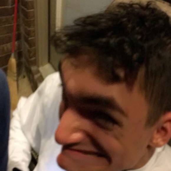 Meet your Posher, Braxton - Picture 6 of 6